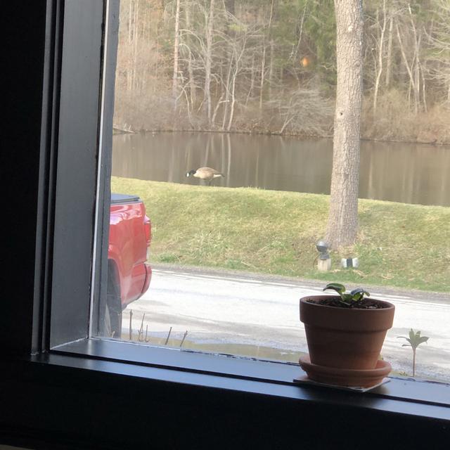 Recent check-in photo 4