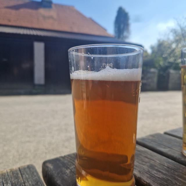 Recent check-in photo 4