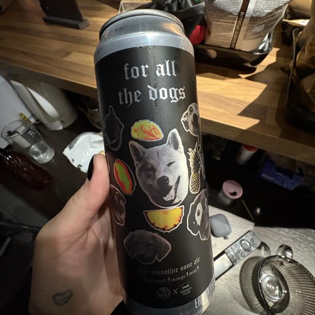 Recent check-in photo 1