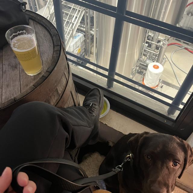 Recent check-in photo 3