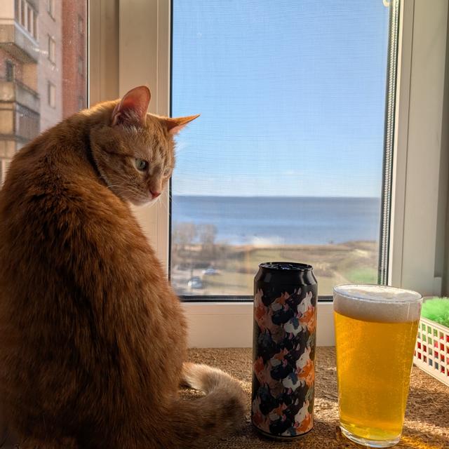 Recent check-in photo 4