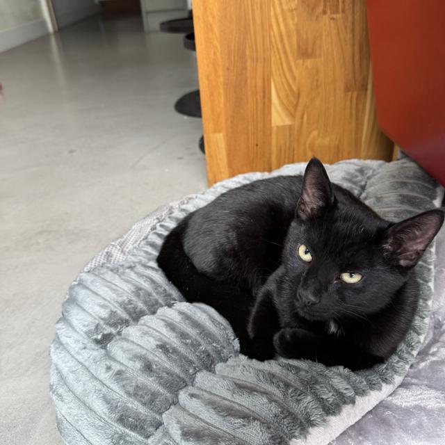 Recent check-in photo 1