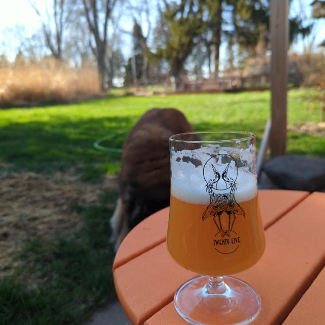 Recent check-in photo 2