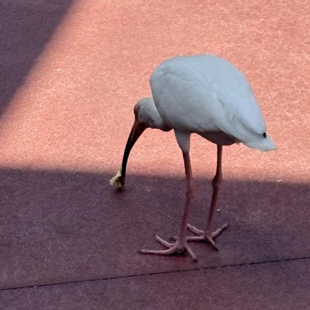 Recent check-in photo 3