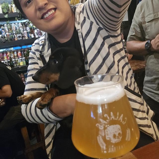 Recent check-in photo 3