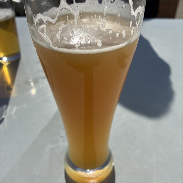 Talking Cursive Brewing Company - Syracuse, NY - Untappd