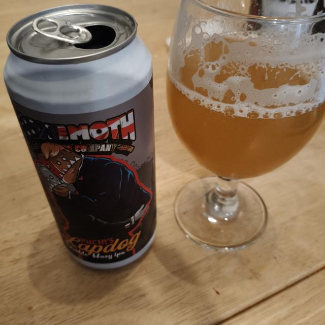 Recent check-in photo 3