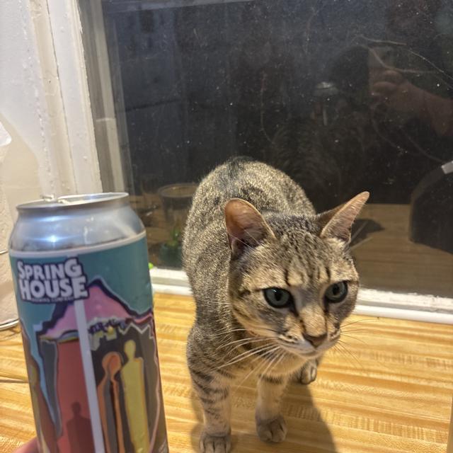 Recent check-in photo 4