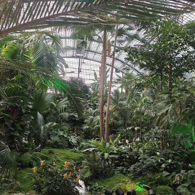 Recent check-in photo 2