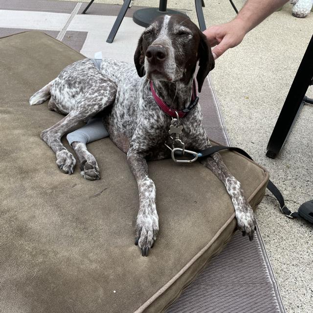 Recent check-in photo 1