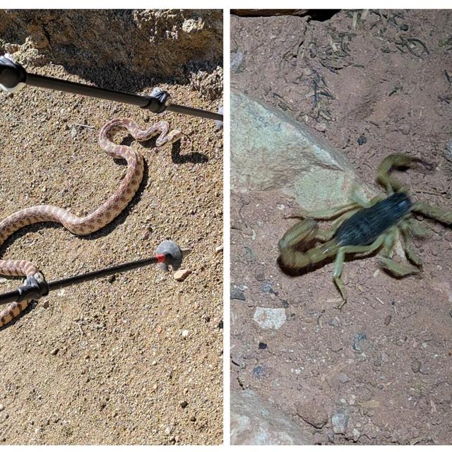 Recent check-in photo 1