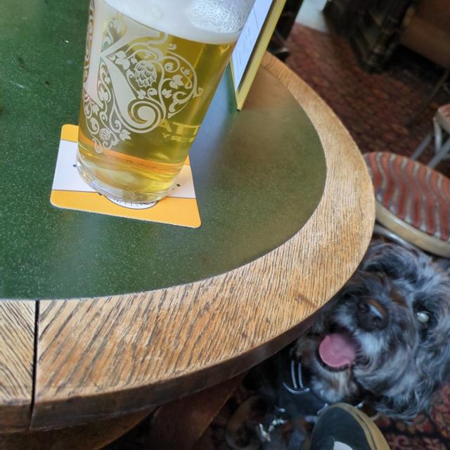 Recent check-in photo 2