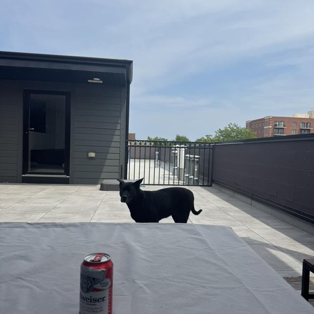 Recent check-in photo 1