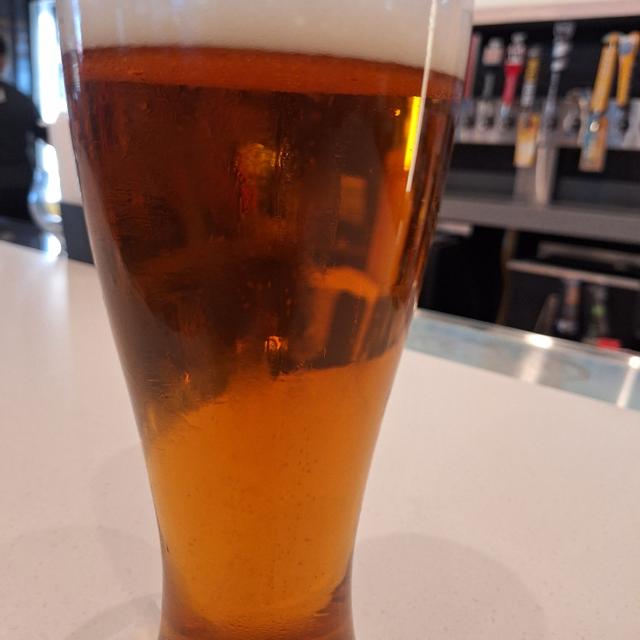 Recent check-in photo 5