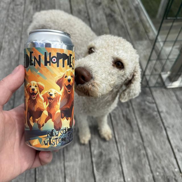 Recent check-in photo 5