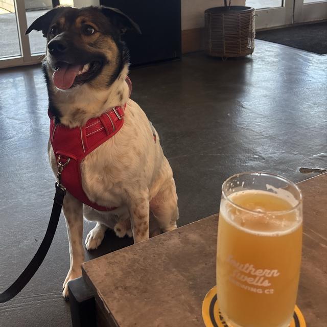 Recent check-in photo 2