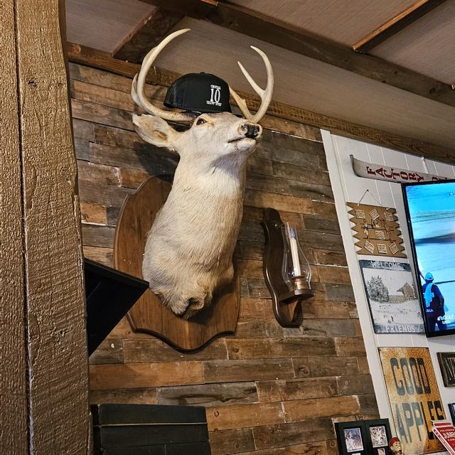 Recent check-in photo 4