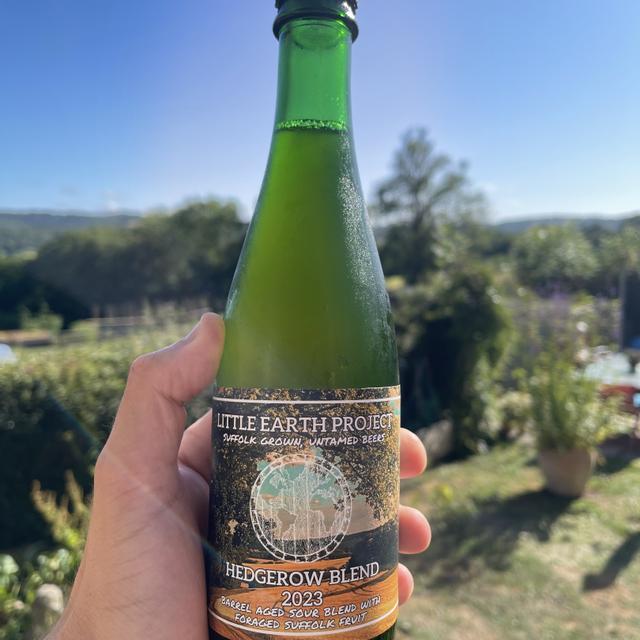 Recent check-in photo 2