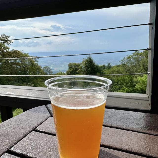 Peach Orchard Farmhouse Ale - Hawksbill Brewing Company - Untappd