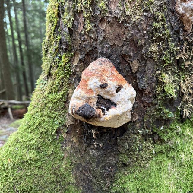 Recent check-in photo 5