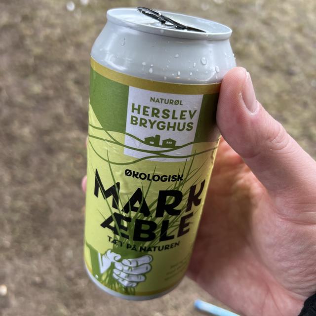 Recent check-in photo 6