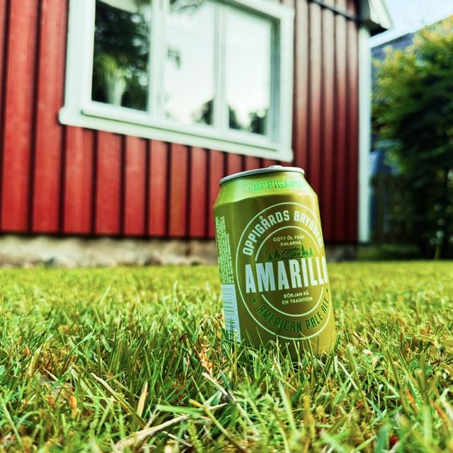 Recent check-in photo 6