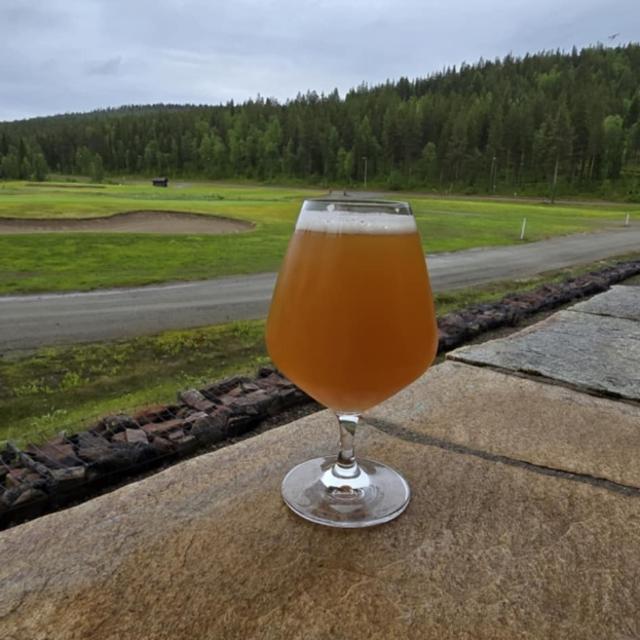 Recent check-in photo 1