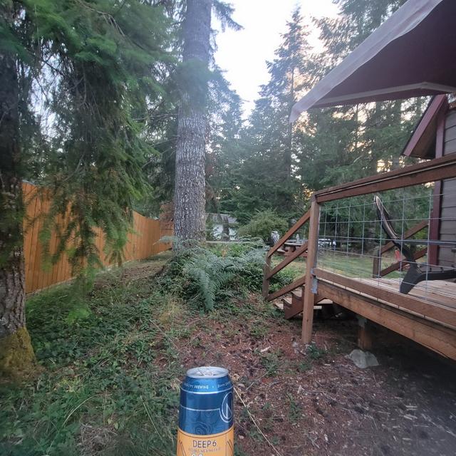 Recent check-in photo 4