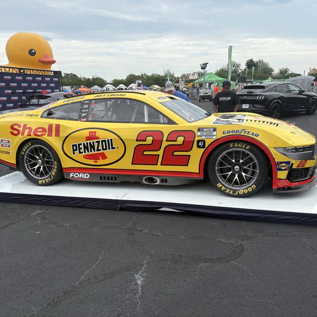 Recent check-in photo 4