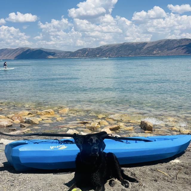 Recent check-in photo 4