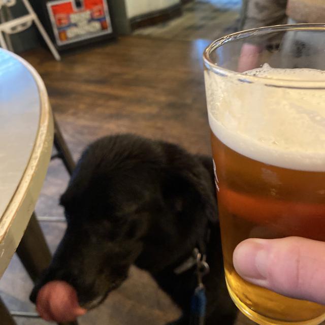 Recent check-in photo 2