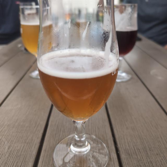 Recent check-in photo 5