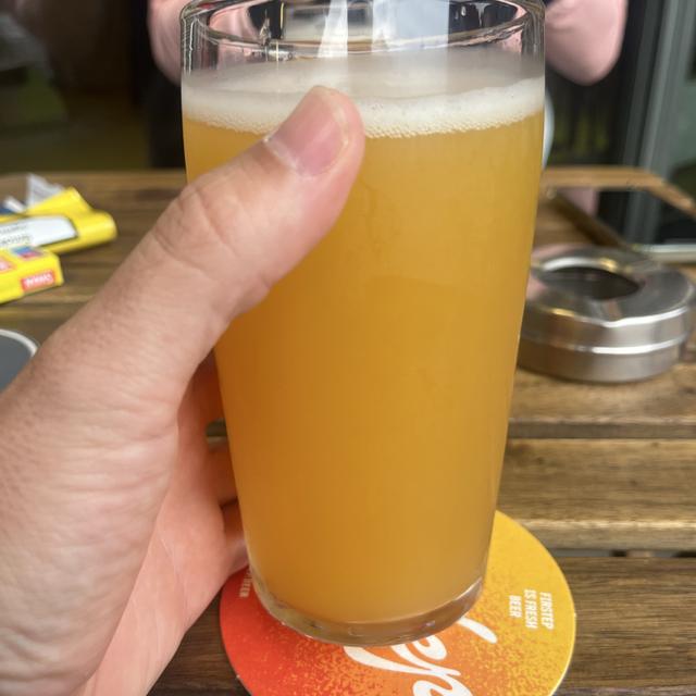 Recent check-in photo 4