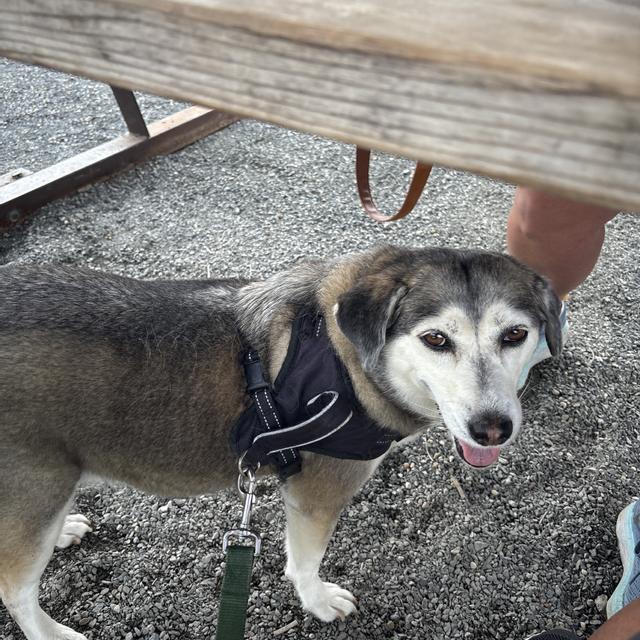 Recent check-in photo 3