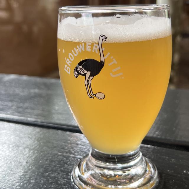 Recent check-in photo 1