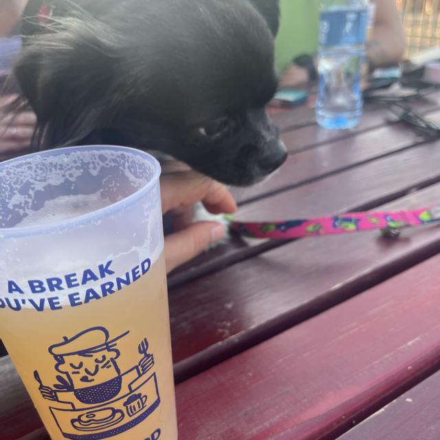 Recent check-in photo 2