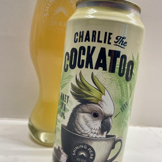 Recent check-in photo 1