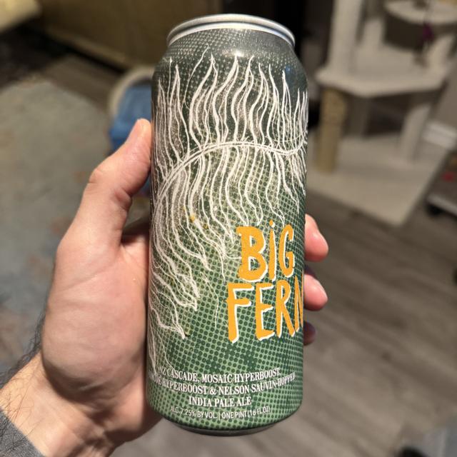 Recent check-in photo 3