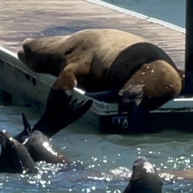 Recent check-in photo 4