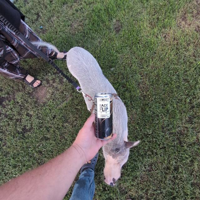 Recent check-in photo 6