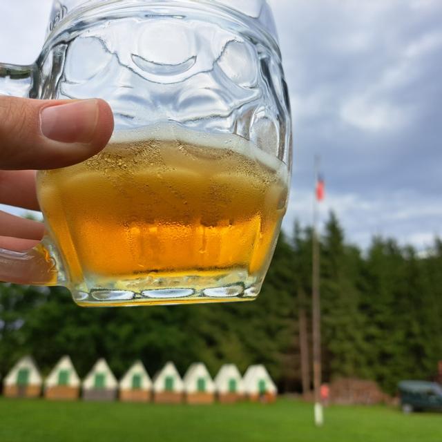 Recent check-in photo 1