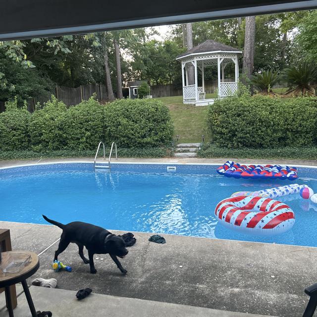 Recent check-in photo 4