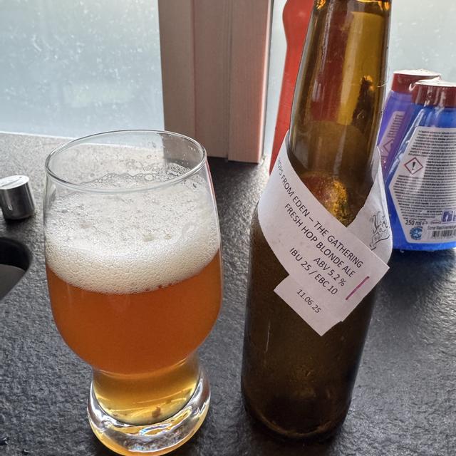 Recent check-in photo 2