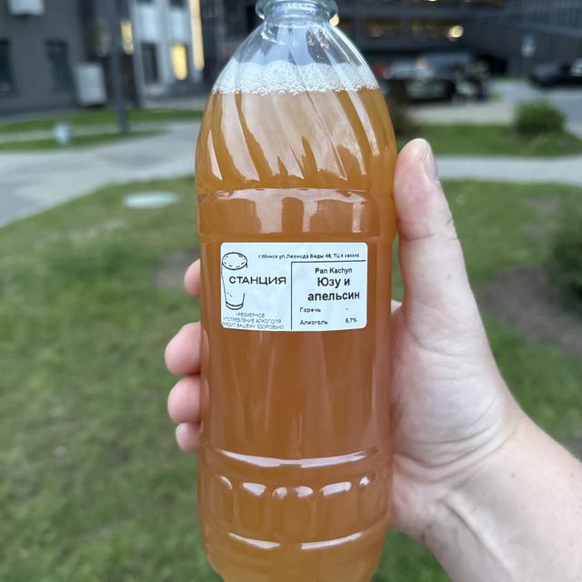 Recent check-in photo 6