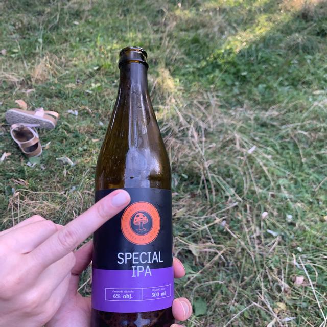 Recent check-in photo 3