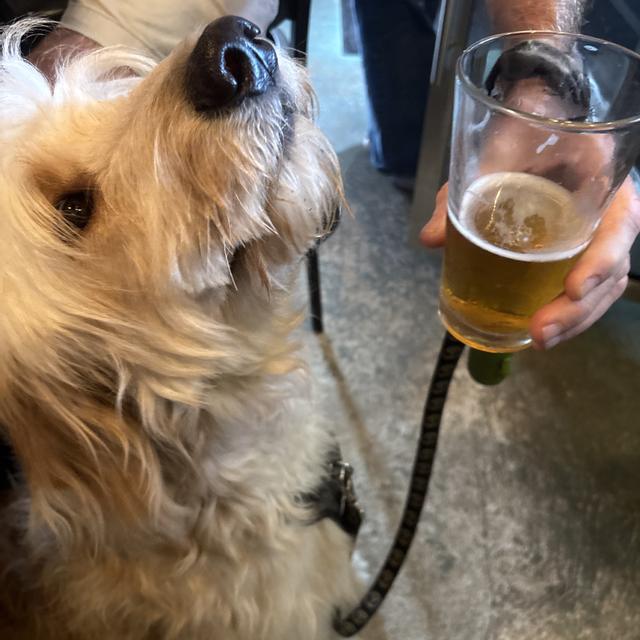 Recent check-in photo 4