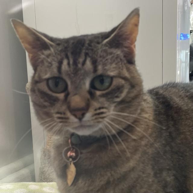 Recent check-in photo 2