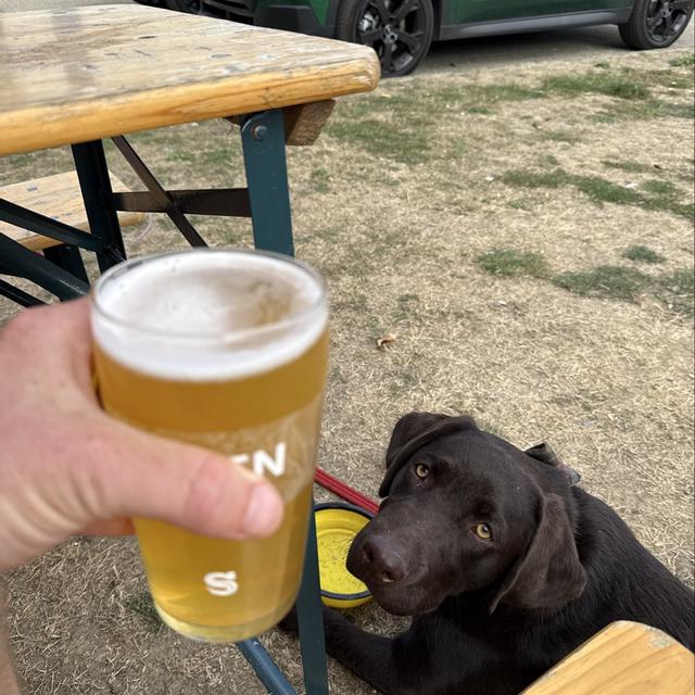 Recent check-in photo 2