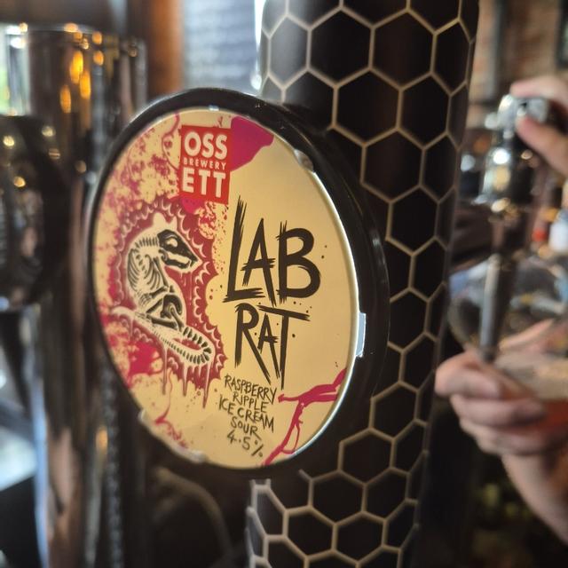 Recent check-in photo 3