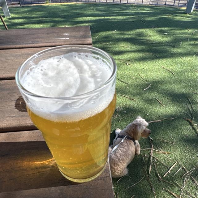 Recent check-in photo 4